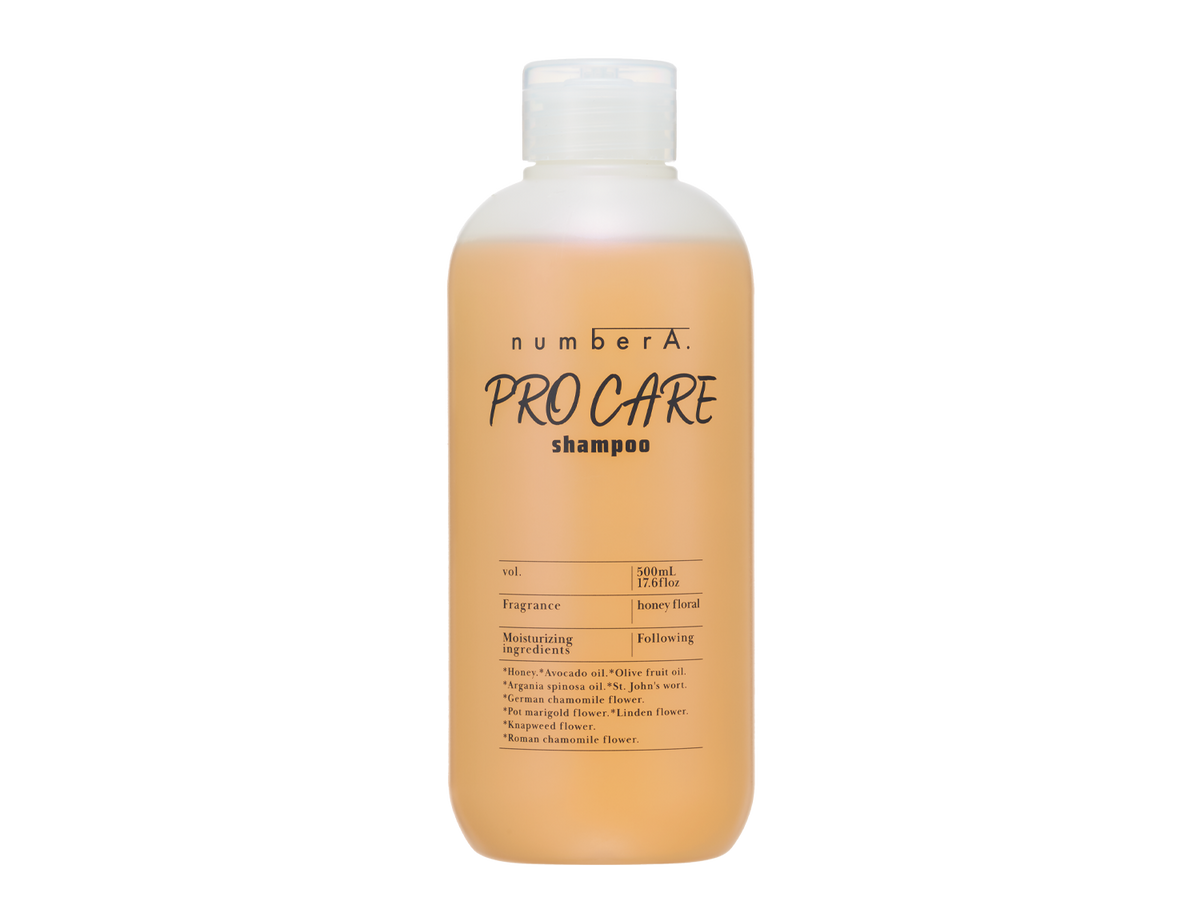 ナンバーエー PRO CARE シャンプー – number A.